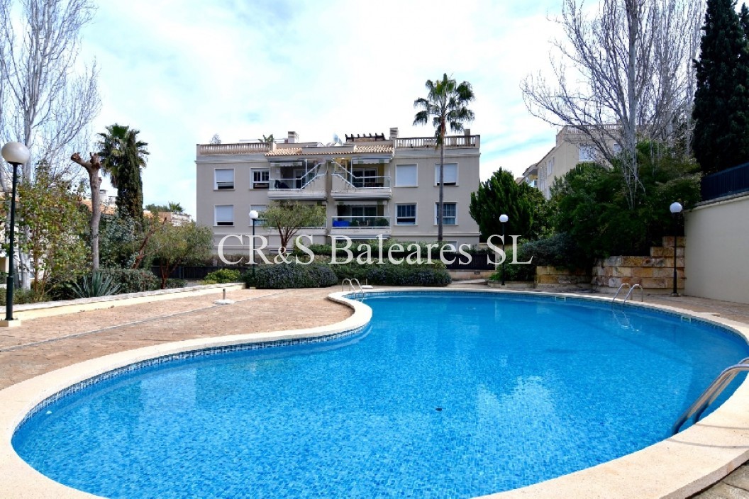 Property for Sale in Palma