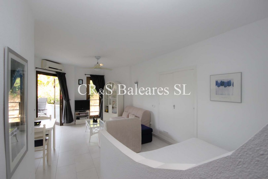 Property for Sale in Santa ponsa